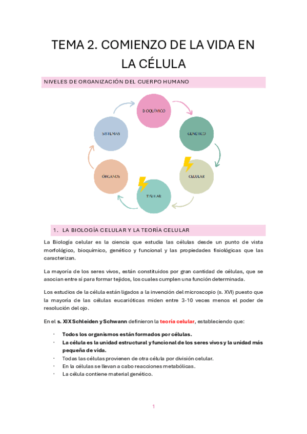 Miniatura del documento TEMA-2.-COMIENZO-DE-LA-VIDA-EN-LA-CELULA.pdf