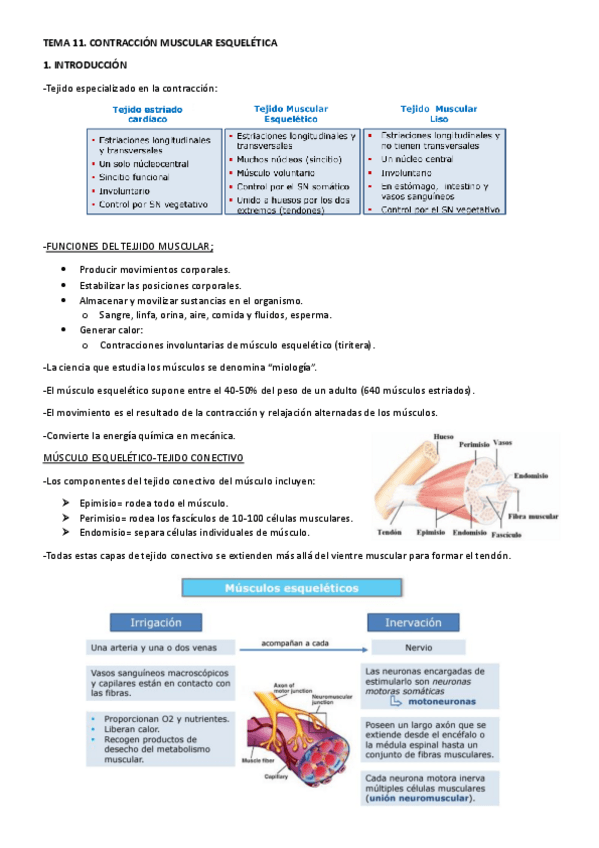 Miniatura del documento TEMA-11.pdf