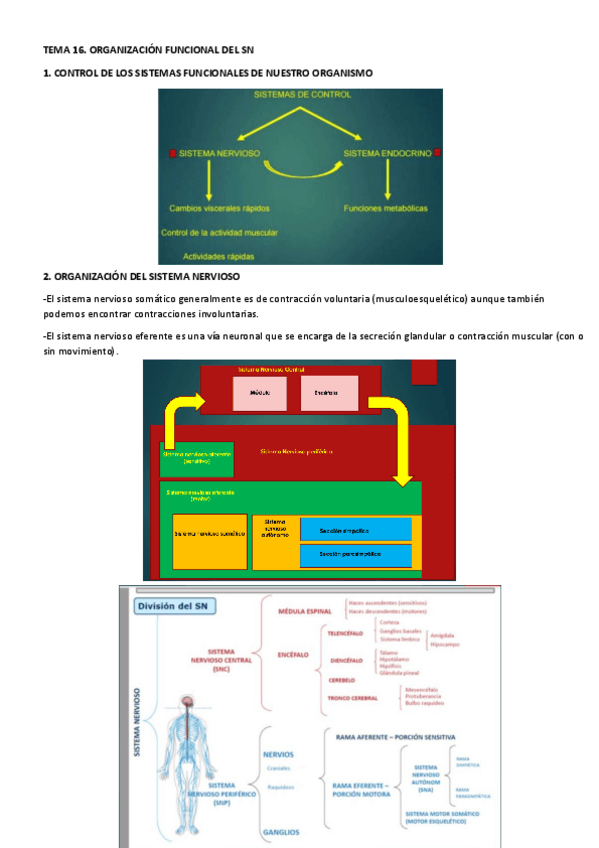 Miniatura del documento TEMA-16.pdf