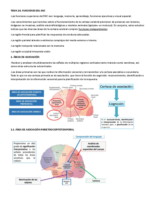 Miniatura del documento TEMA-24.pdf