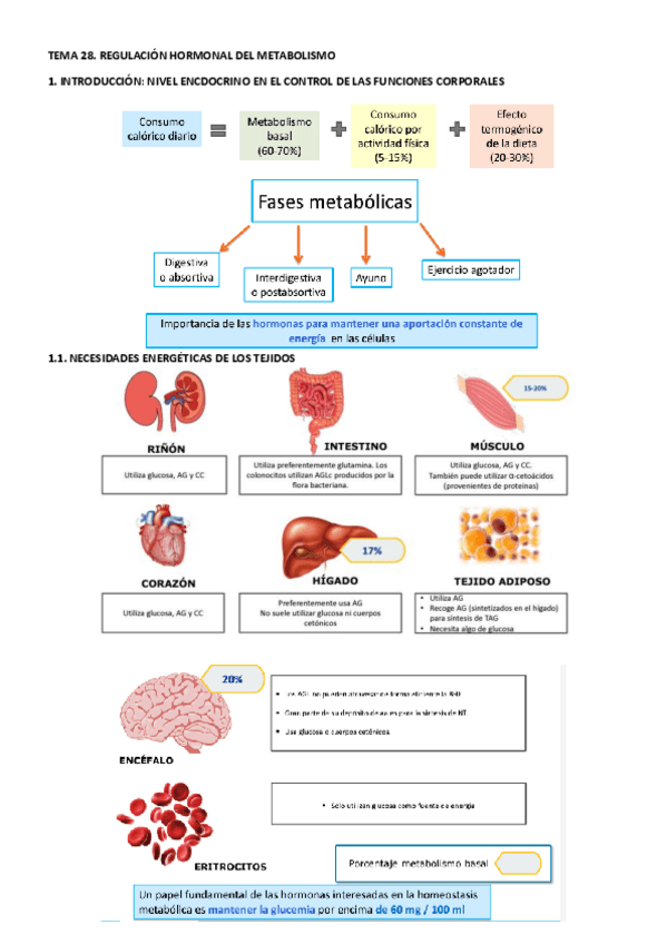 Miniatura del documento TEMA-28.pdf