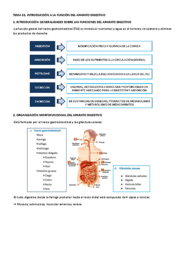 Miniatura del documento TEMA-31.pdf