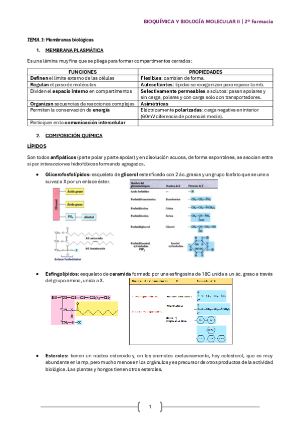 Miniatura del documento T-1-4.pdf