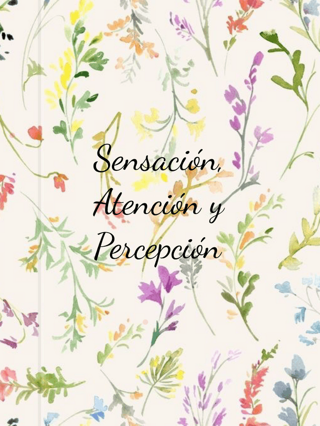 Miniatura del documento SPA-Tema-1.pdf