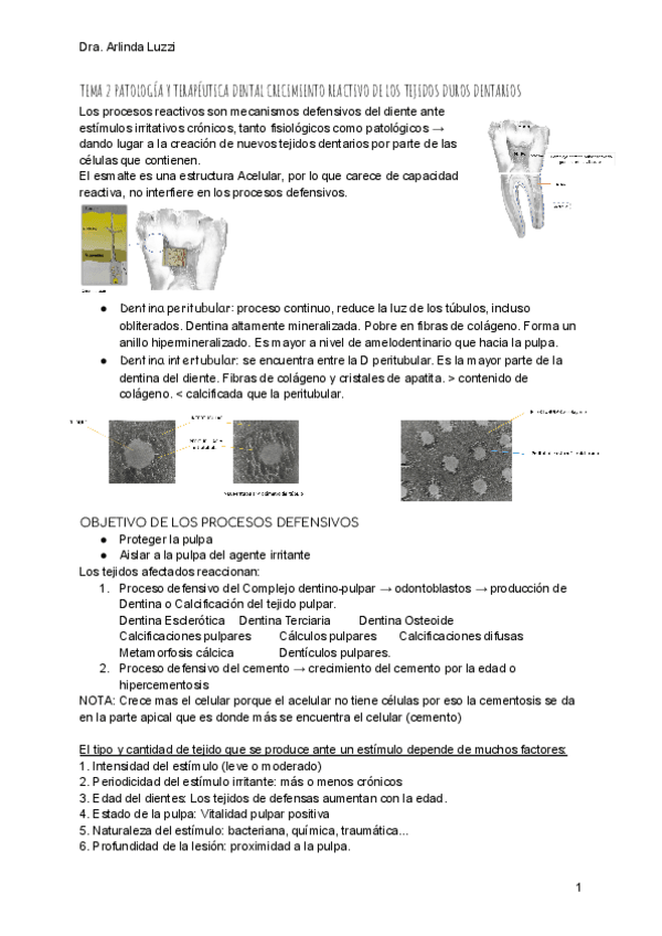 Miniatura del documento TEMA-3-PATOLOGIA-Y-TERAPEUTICA-DENTAL.pdf