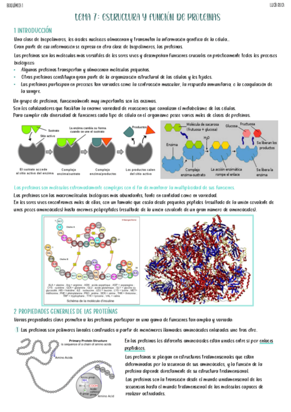 Miniatura del documento tema-7-bioquimica-1.pdf