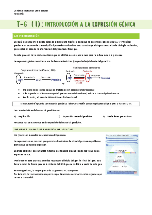 Miniatura del documento T-6-GM.pdf