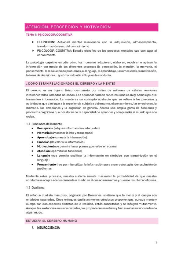 Miniatura del documento ATENCION.pdf