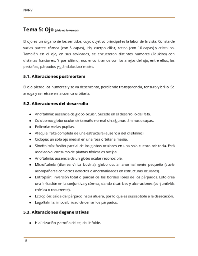 Miniatura del documento Tema-5-APE.pdf