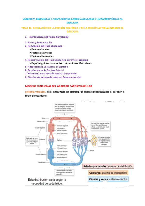 Miniatura del documento UNIDAD-IV-TEMA-16.pdf