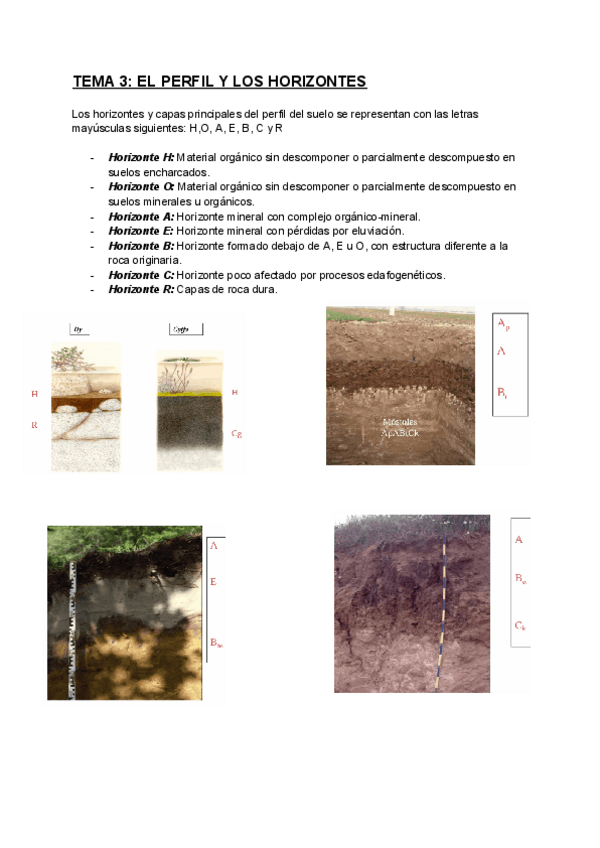 Miniatura del documento TEMA-3-EL-PERFIL-Y-LOS-HORIZONTES.pdf