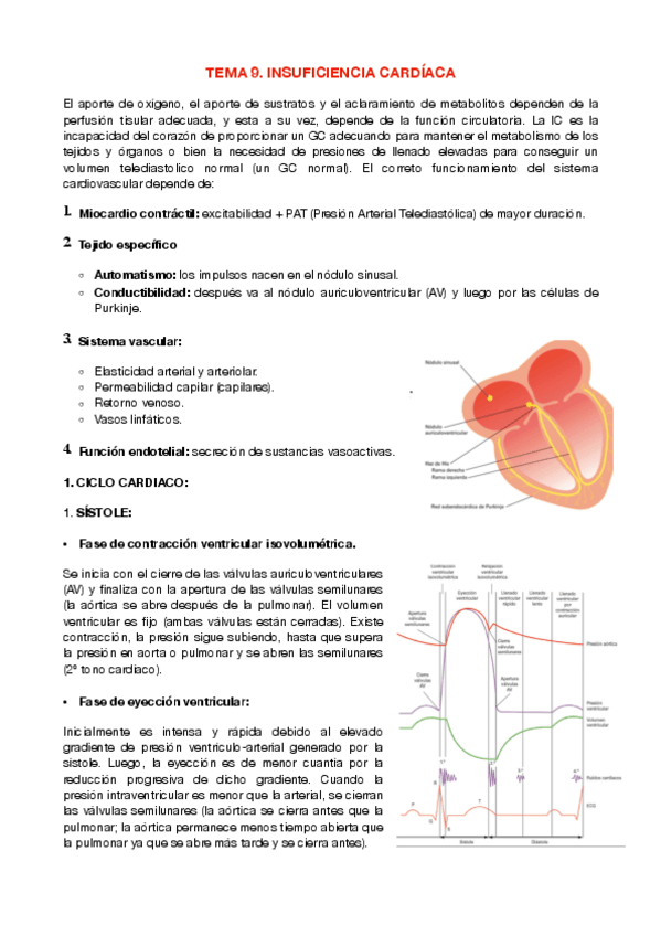 Miniatura del documento T9.-IC-MIO.pdf
