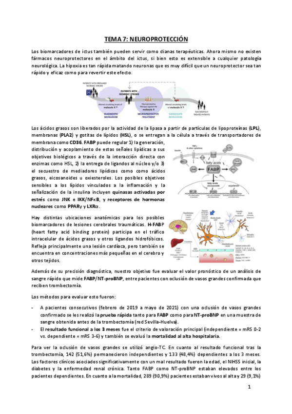 Miniatura del documento TEMA-7-Neuroproteccion.pdf