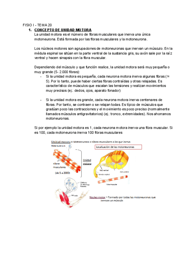Miniatura del documento FISIO-I-TEMA-20-Google-Docs.pdf