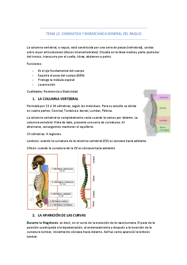 Miniatura del documento TEMA-12-Y-13.pdf