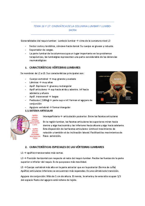 Miniatura del documento TEMA-16-Y-17.pdf
