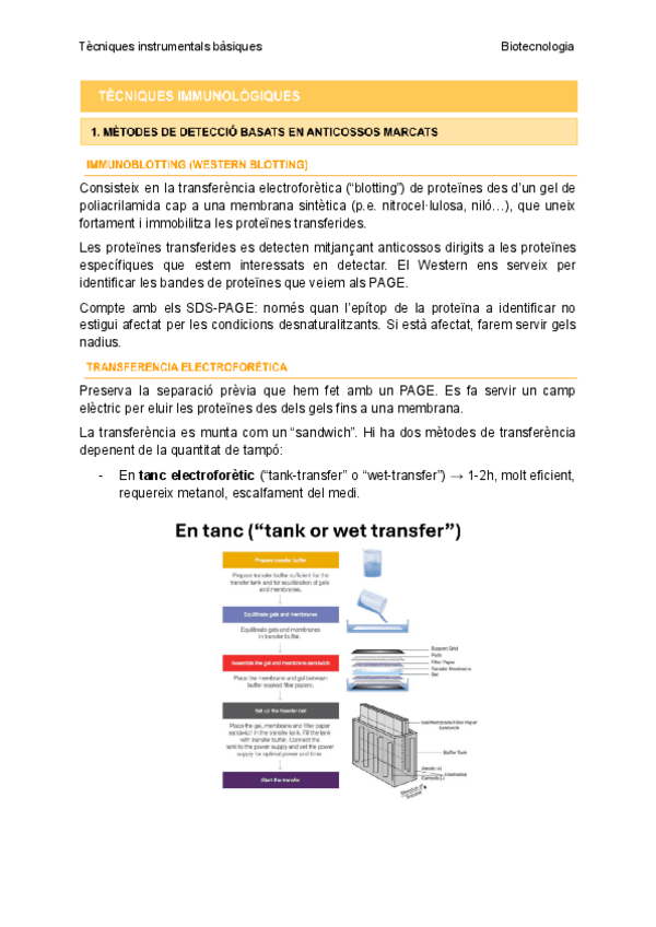 Miniatura del documento TIB-Tema-6-Tecniques-immunologiques.pdf