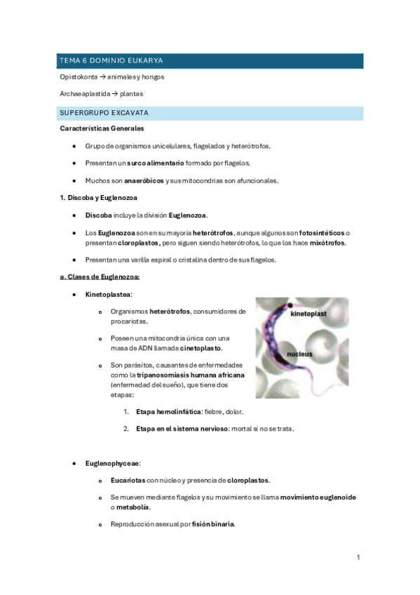 Miniatura del documento Tema-6-Diversidad.pdf