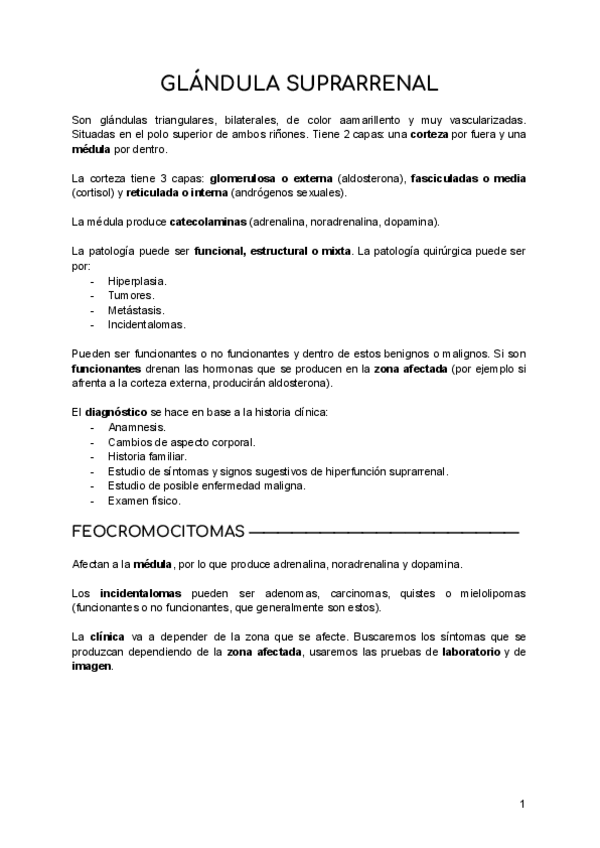 Miniatura del documento Glandula-suprarrenal.pdf