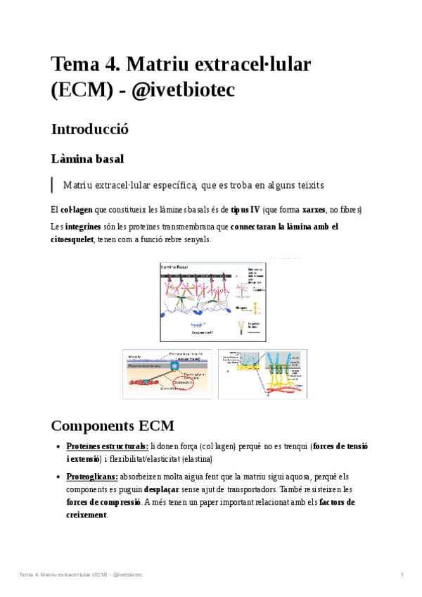 Miniatura del documento Tema-4Biologia-cellular.pdf