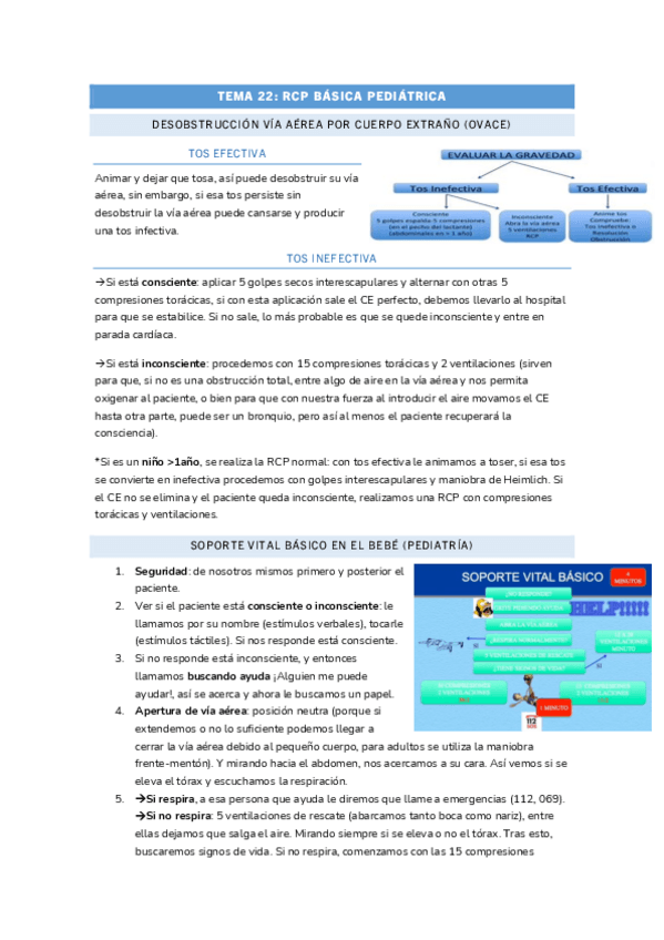 Miniatura del documento SEMINARIO-TEMA-22-INFANCIA.pdf