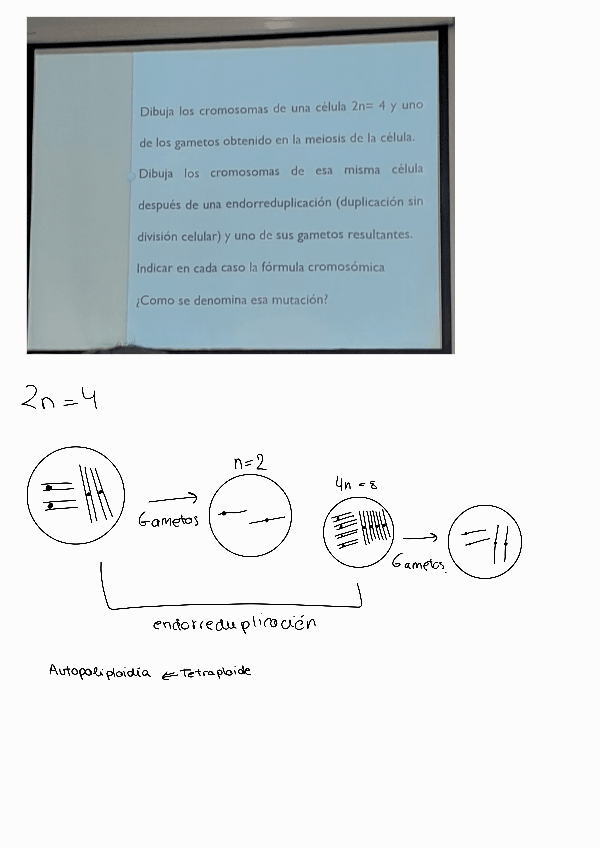 Miniatura del documento Pregunta-tema-8.pdf