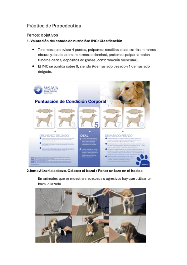 Miniatura del documento Practico-de-prope.pdf