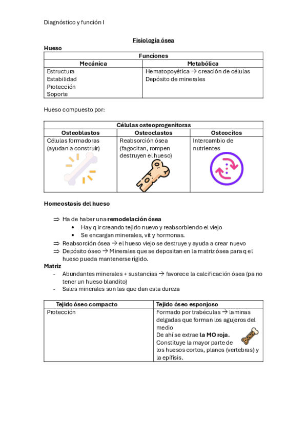 Miniatura del documento Fisiologia-osea.pdf
