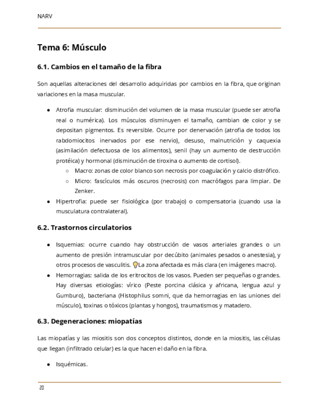 Miniatura del documento Tema-6-APE.pdf