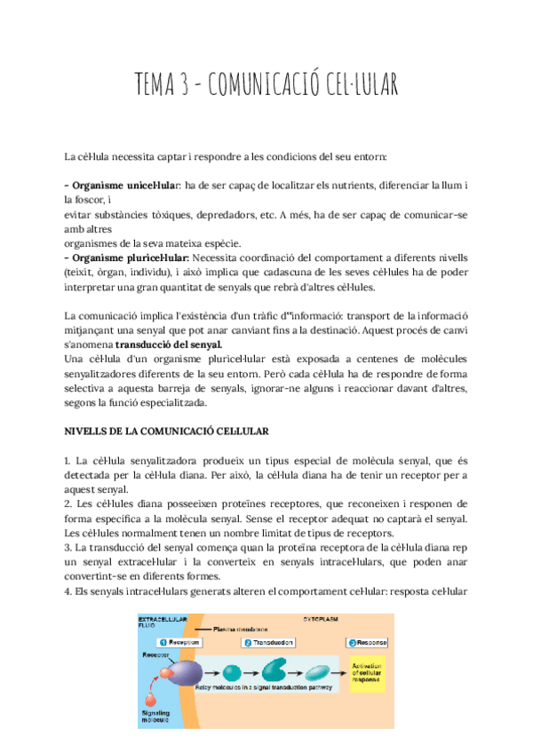 Miniatura del documento TEMA-3-COMUNICACIO-CELLULAR.pdf