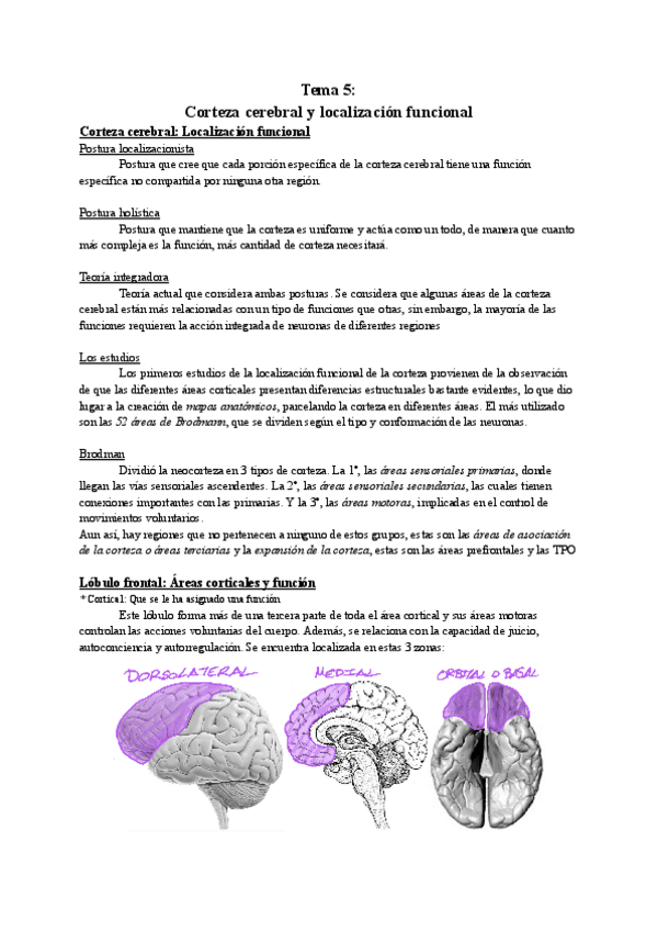 Miniatura del documento Resumen-tema-5.pdf