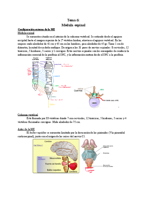 Miniatura del documento Resumen-tema-6.pdf