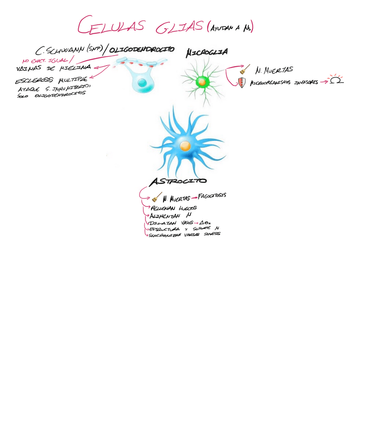 Miniatura del documento Glias-tema-1.pdf