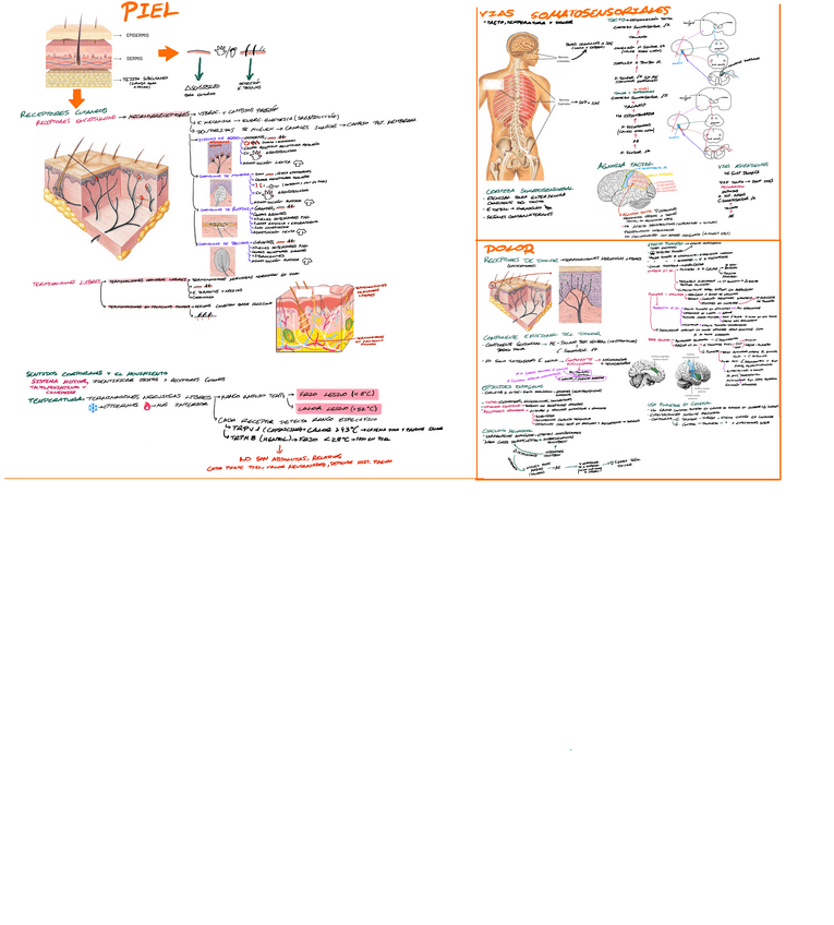 Miniatura del documento Tema-2.pdf