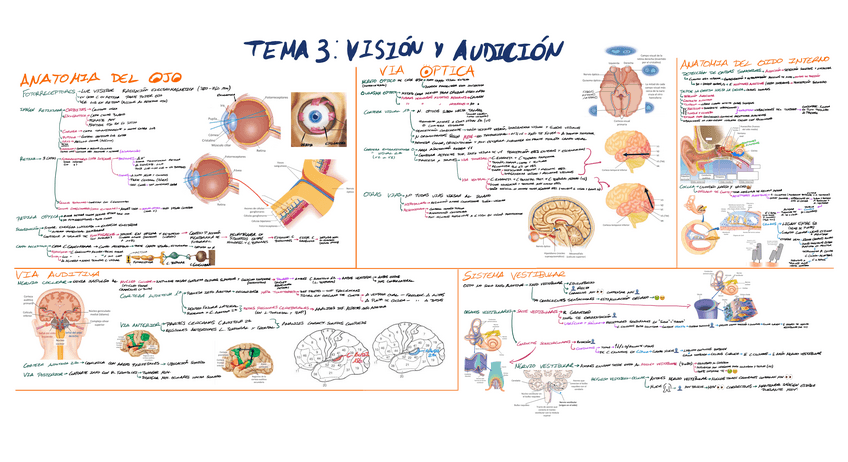 Miniatura del documento Tema-3.pdf