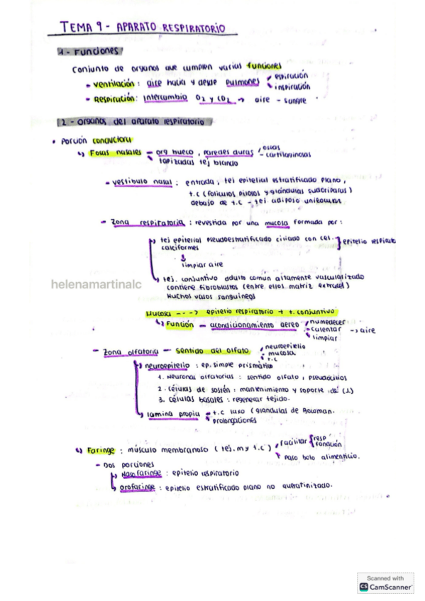 Miniatura del documento aparato-respiratorio-histologia.pdf