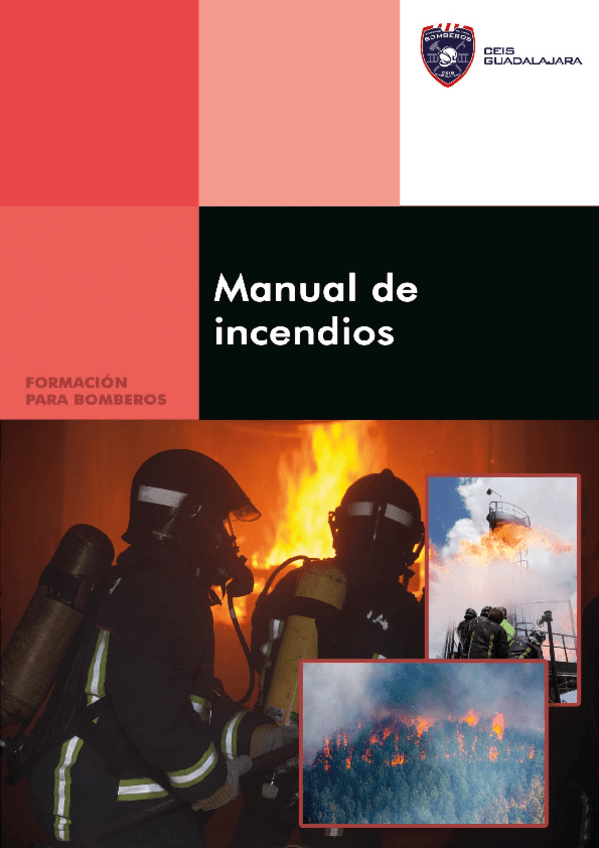 Miniatura del documento Manual-de-incendios-COMPLETO.pdf