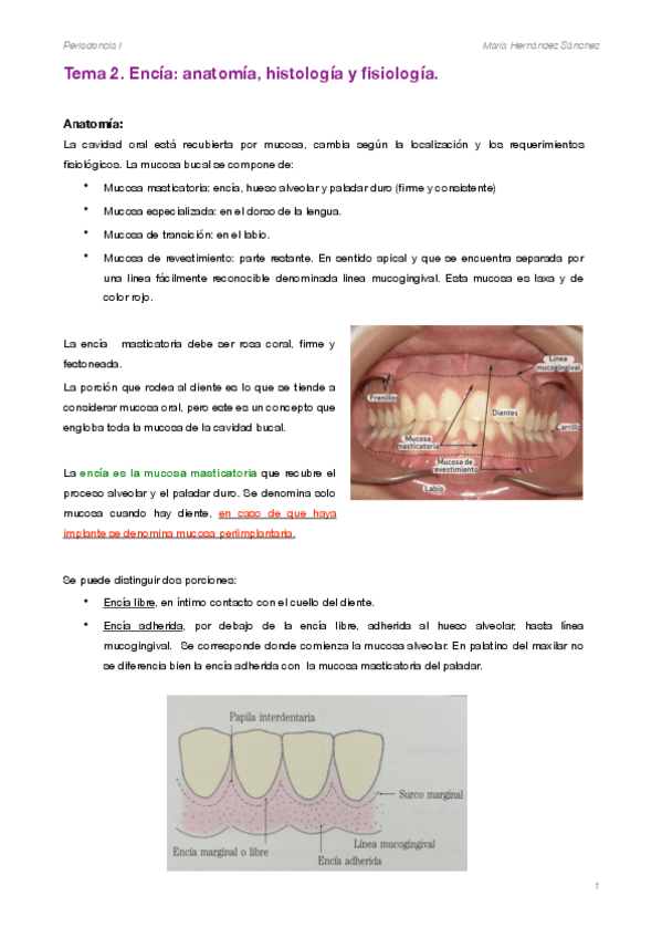 Miniatura del documento PERIO 2.pdf