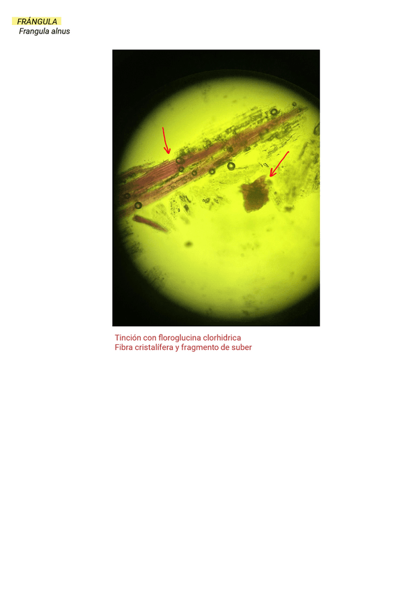 Miniatura del documento Pulverizados.pdf