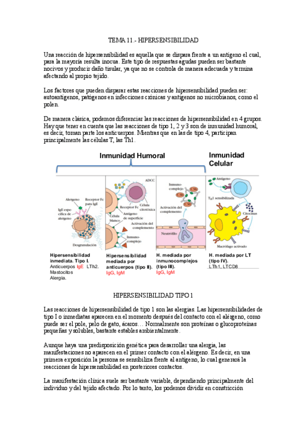 Miniatura del documento Tema-11.-Hipersensibilidad.pdf