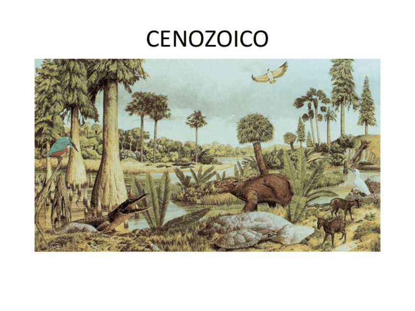 Miniatura del documento ERA-CENOZOICA-4-ESO.pdf