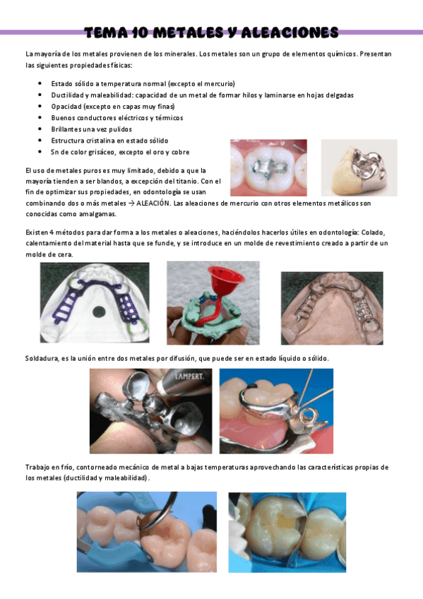Miniatura del documento BIOMATERIALES-T10.pdf