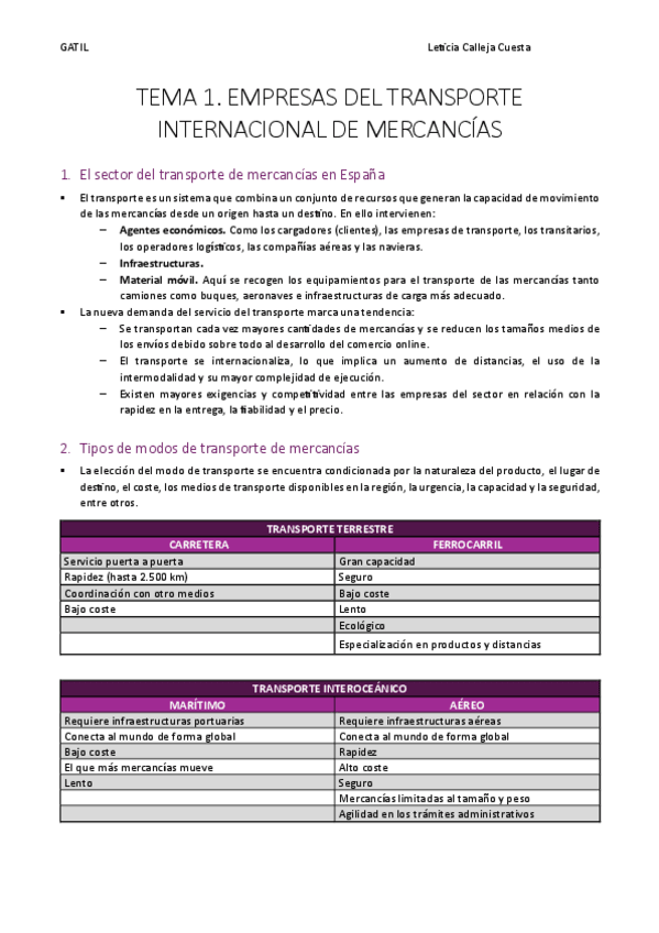 Miniatura del documento EMPRESAS-DEL-TRANSPORTE-INTERNACIONAL-DE-MERCANCIAS.pdf