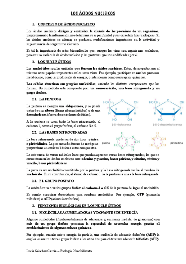 Miniatura del documento Los-acidos-nucleicos.pdf