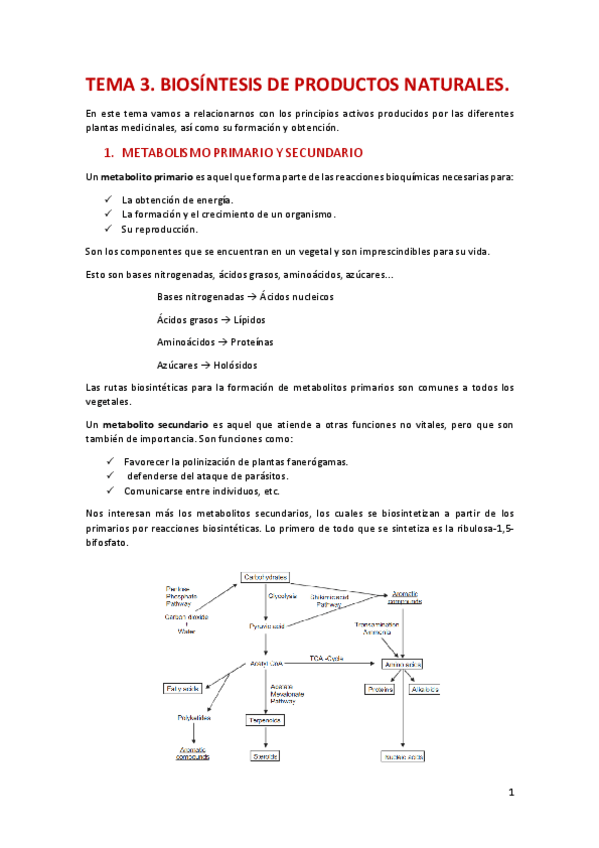 Miniatura del documento TEMA 3.pdf