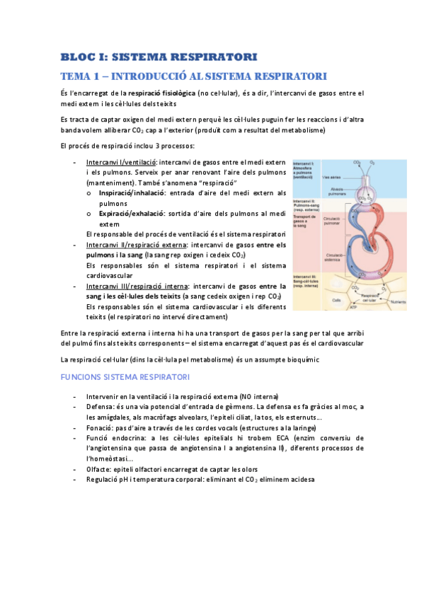 Miniatura del documento 1r-PARCIAL.pdf