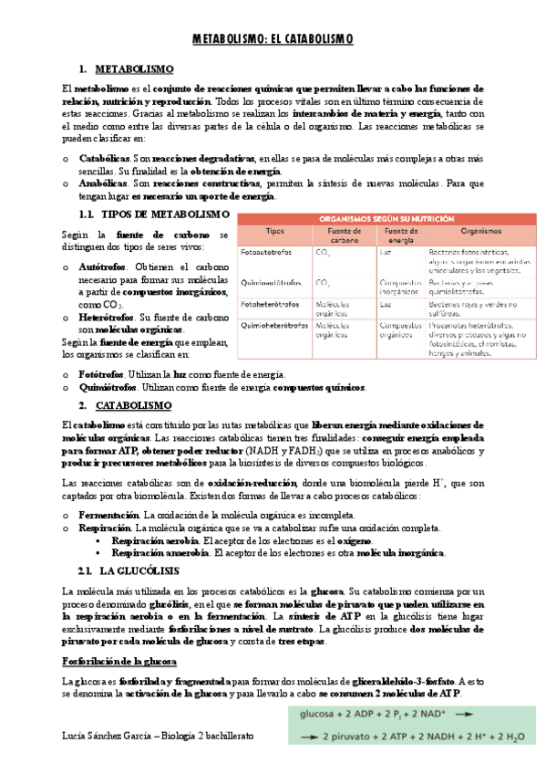 Miniatura del documento Catabolismo.pdf