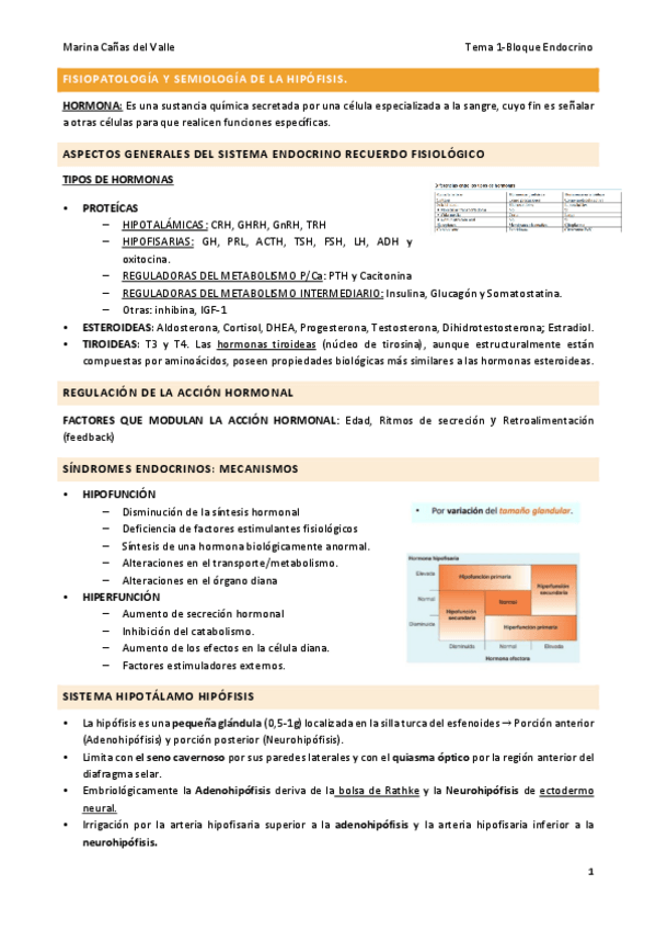 Miniatura del documento FISIOPATOLOGIA-Y-SEMIOLOGIA-DE-LA-HIPOFISIS.pdf