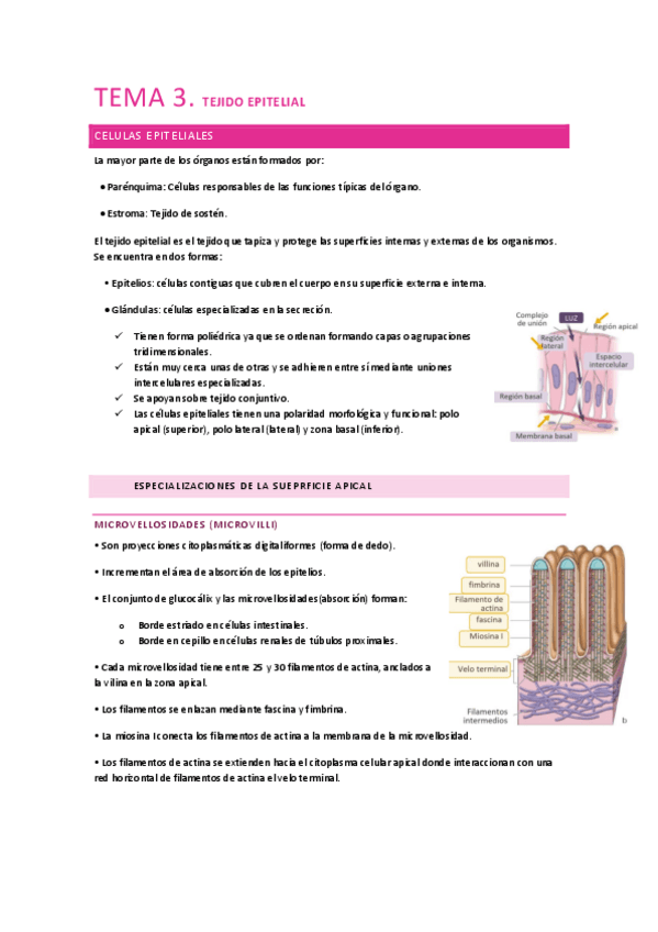 Miniatura del documento tema-3-biologia.pdf