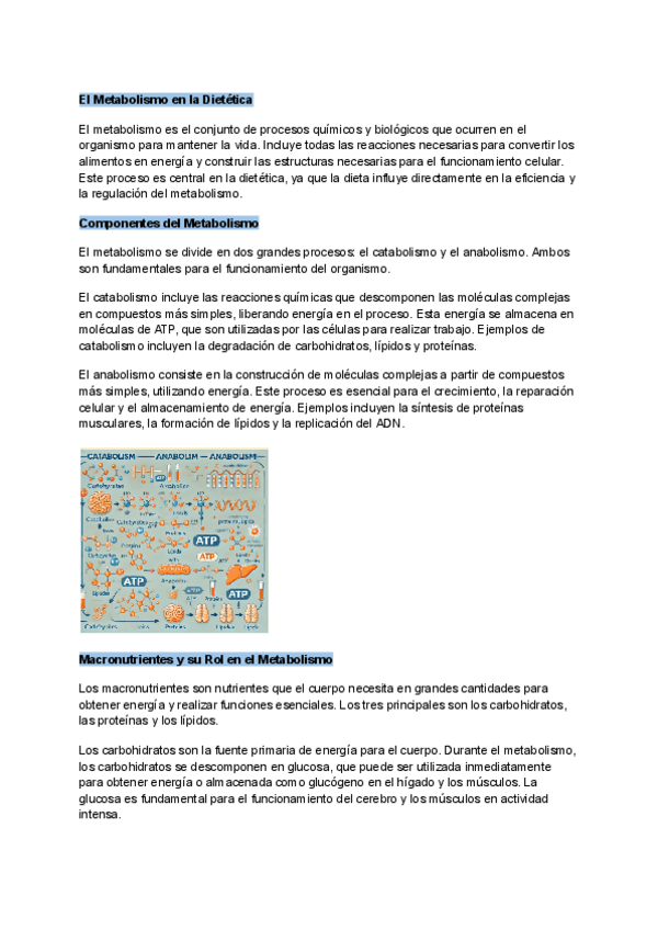 Miniatura del documento Metabolismo-completo.pdf